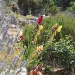 Apartman By The Sea Sali, Dugi Otok - 443 Sali