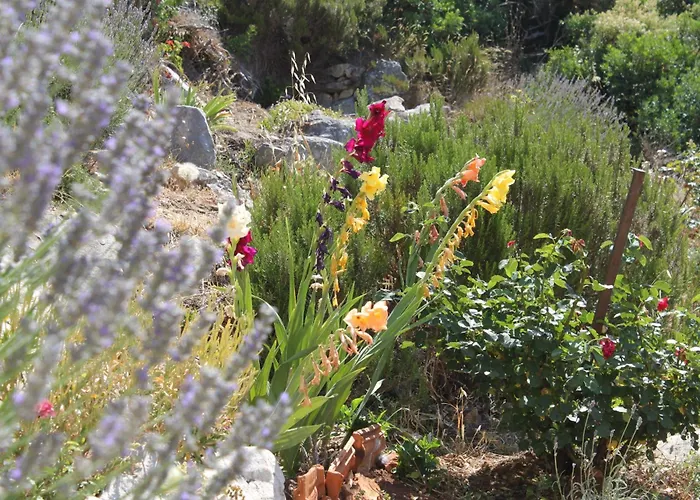 Appartement By The Sea Sali, Dugi Otok - 443 Sali