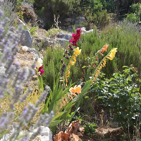 Apartmán By The Sea Sali, Dugi Otok - 443 Sali